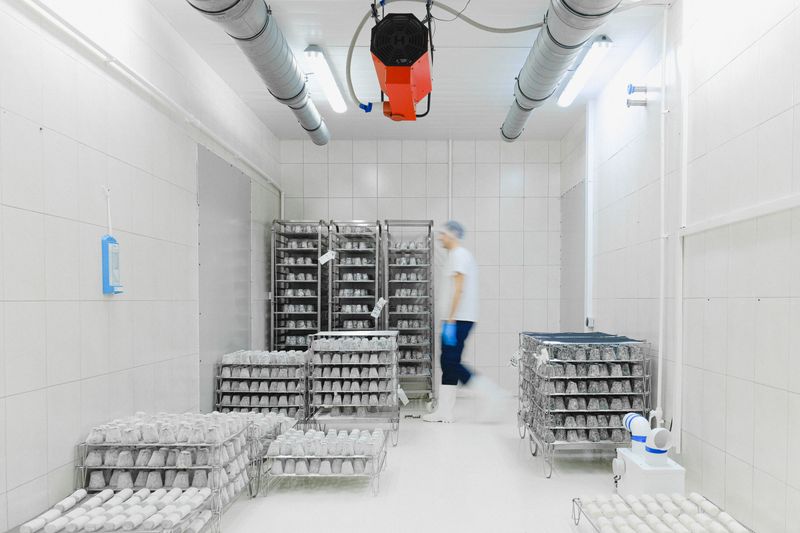 Logística Cold Chain: câmara de armazenamento refrigerado para medicamentos termossensíveis